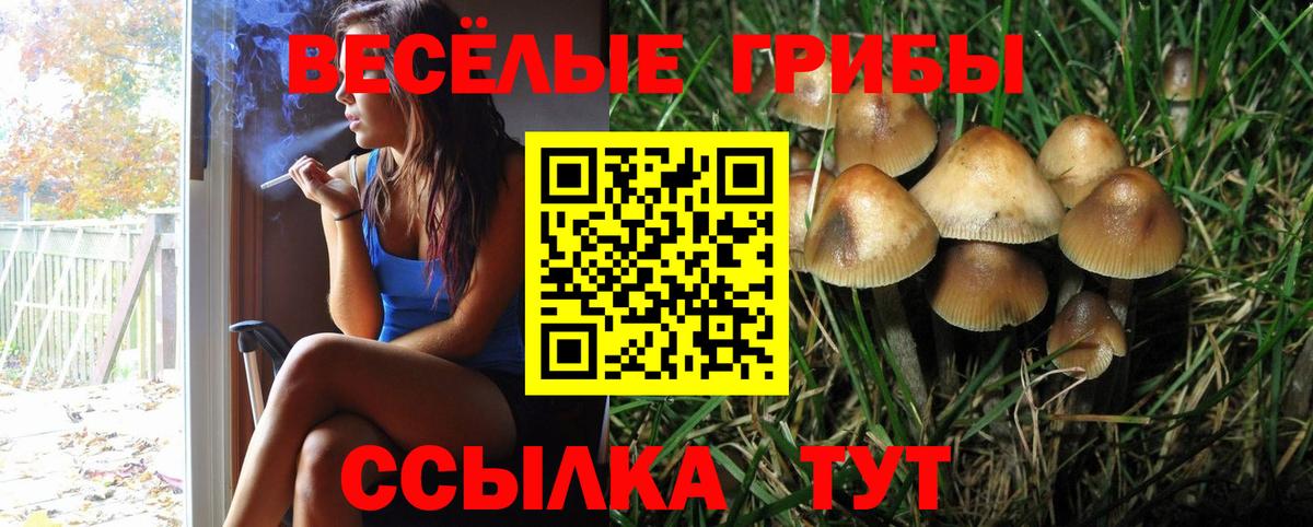 Алексин  Галлюциногенные грибы Magic Shrooms  Псилоцибиновые грибы ЛСД  Вход с VPN 